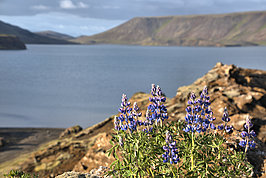 Bernhard Saalfeld - Kleifarvatn